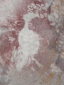 Stencil di uccello 4